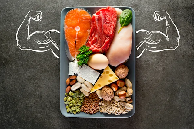 What Is Optimal Protein vs. High Protein