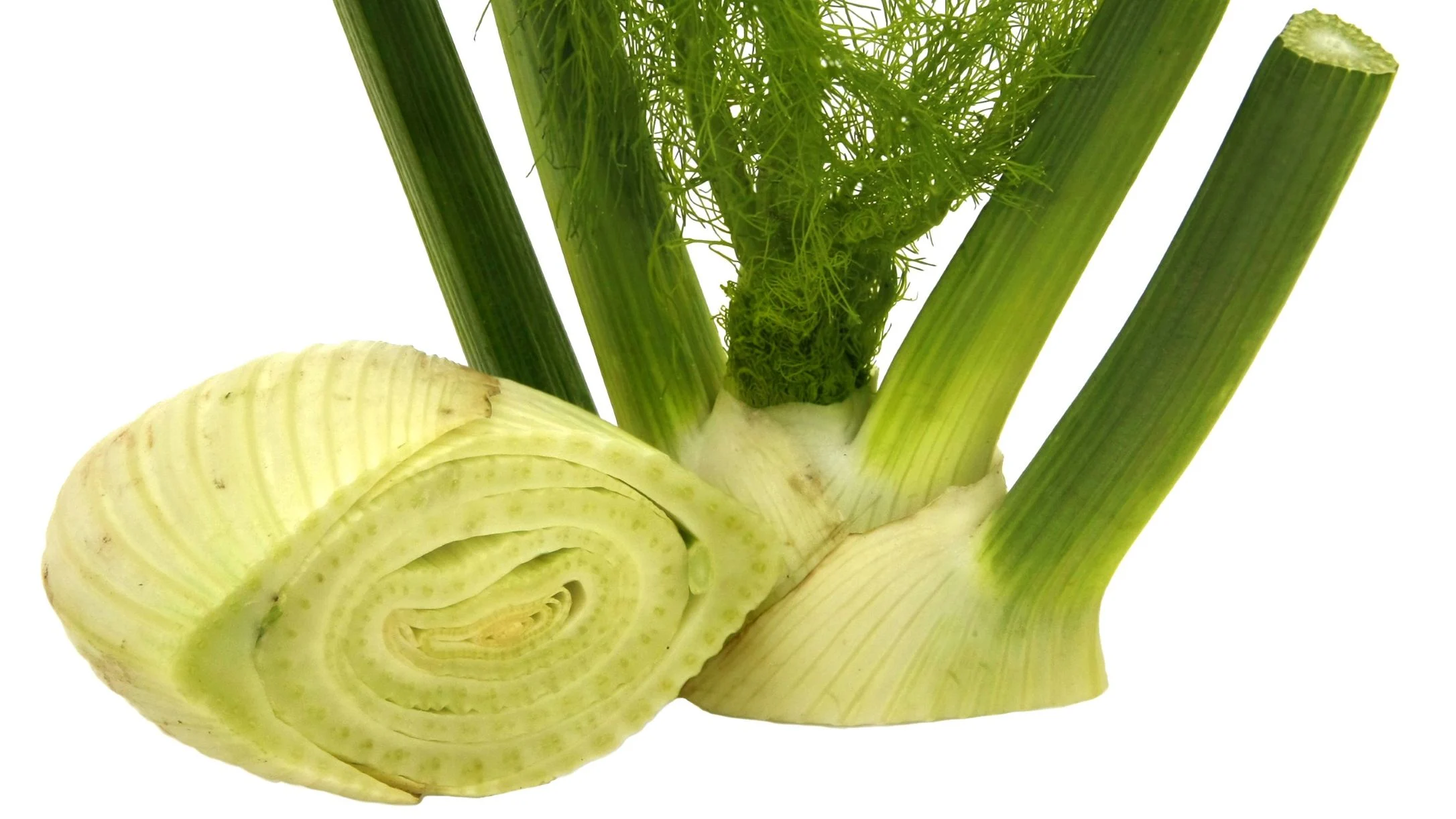 Fresh fennel bulb cut in half, showing white layered interior, with green stalks and feathery fronds on a white background.