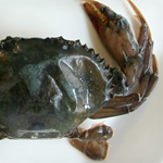 Keto Soft-Shell Crabs with Spicy Lime Tartar Sauce Recipe | @Atkins