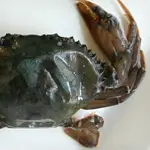 Keto Soft-Shell Crabs with Spicy Lime Tartar Sauce
