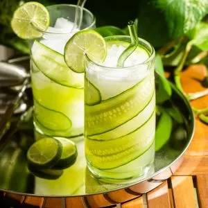 Low Carb Basil Gin Fizz