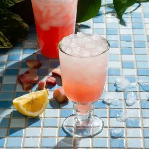 Low Carb Rosy Rhubarb Spritz