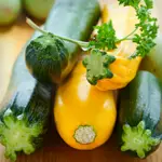 Keto Green and Yellow Squash Kebabs 