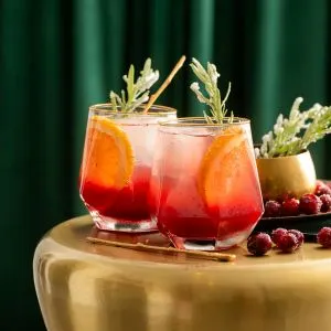 Low Carb Cranberry Bourbon Sour