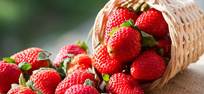 List of 8 Low Carb Vegetables & Fruits