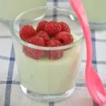 Keto Matcha-Vanilla Protein Shake Custard with Raspberries