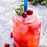 Cranberry Ginger Sparkler Mocktail