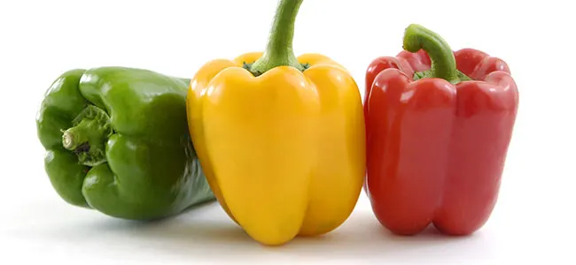 List of 8 Low Carb Vegetables & Fruits