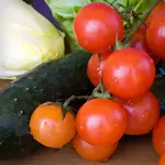 Endive, Cucumber and Cherry Tomato Salad