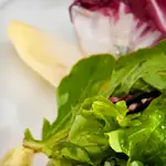 Tri-Color Salad 