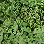 Sautéed Kale with Red-Pepper Dressing