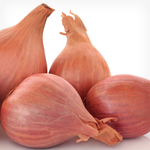 Roast Shallot, Garlic, and Zucchini Salad Recipe | @Atkins