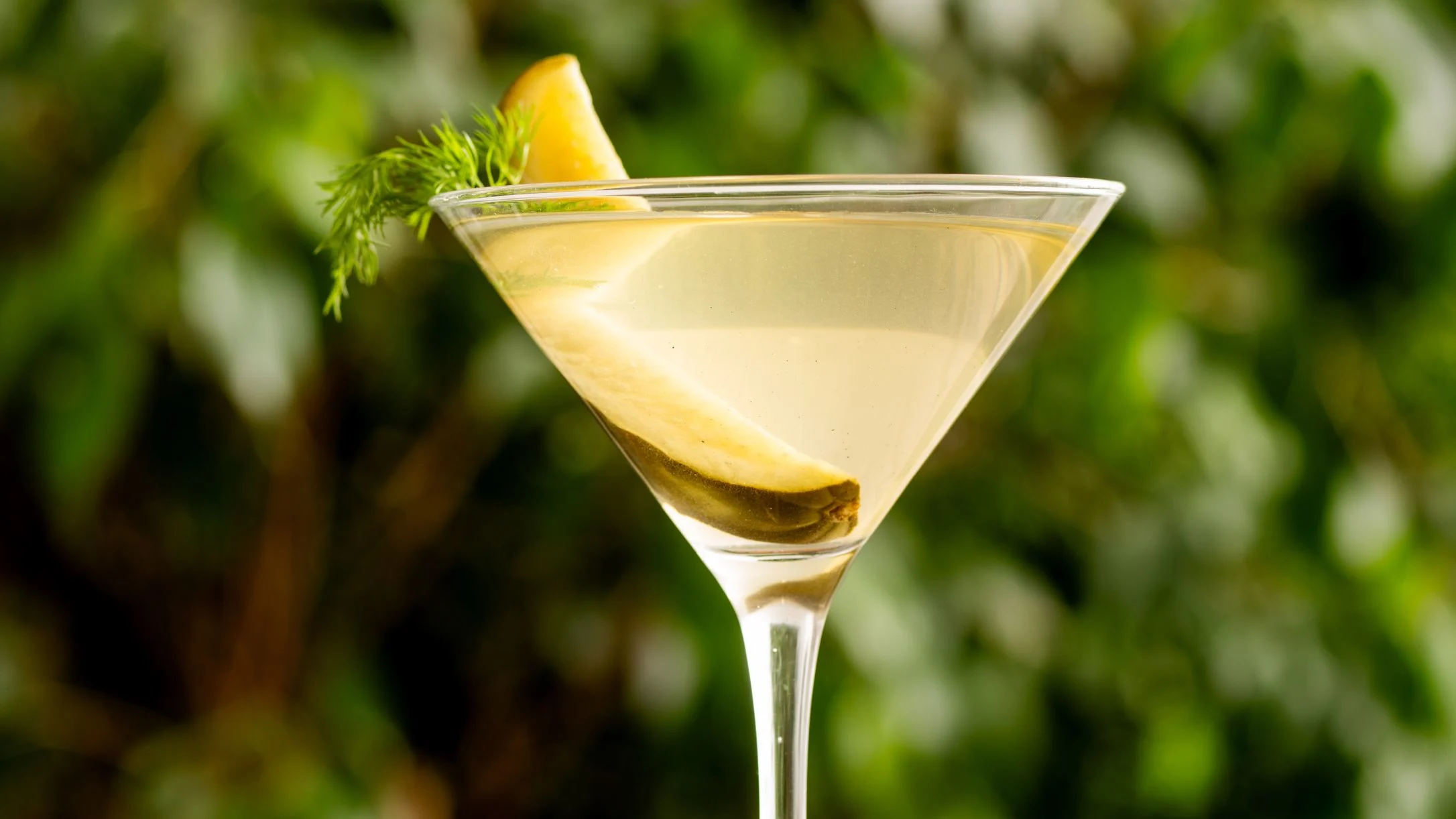 A pale yellow martini cocktail garnished with a pickle spear and fresh dill, with a green blurred background.