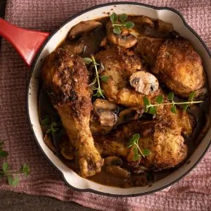 Chicken Braised in Red Wine with Mushrooms