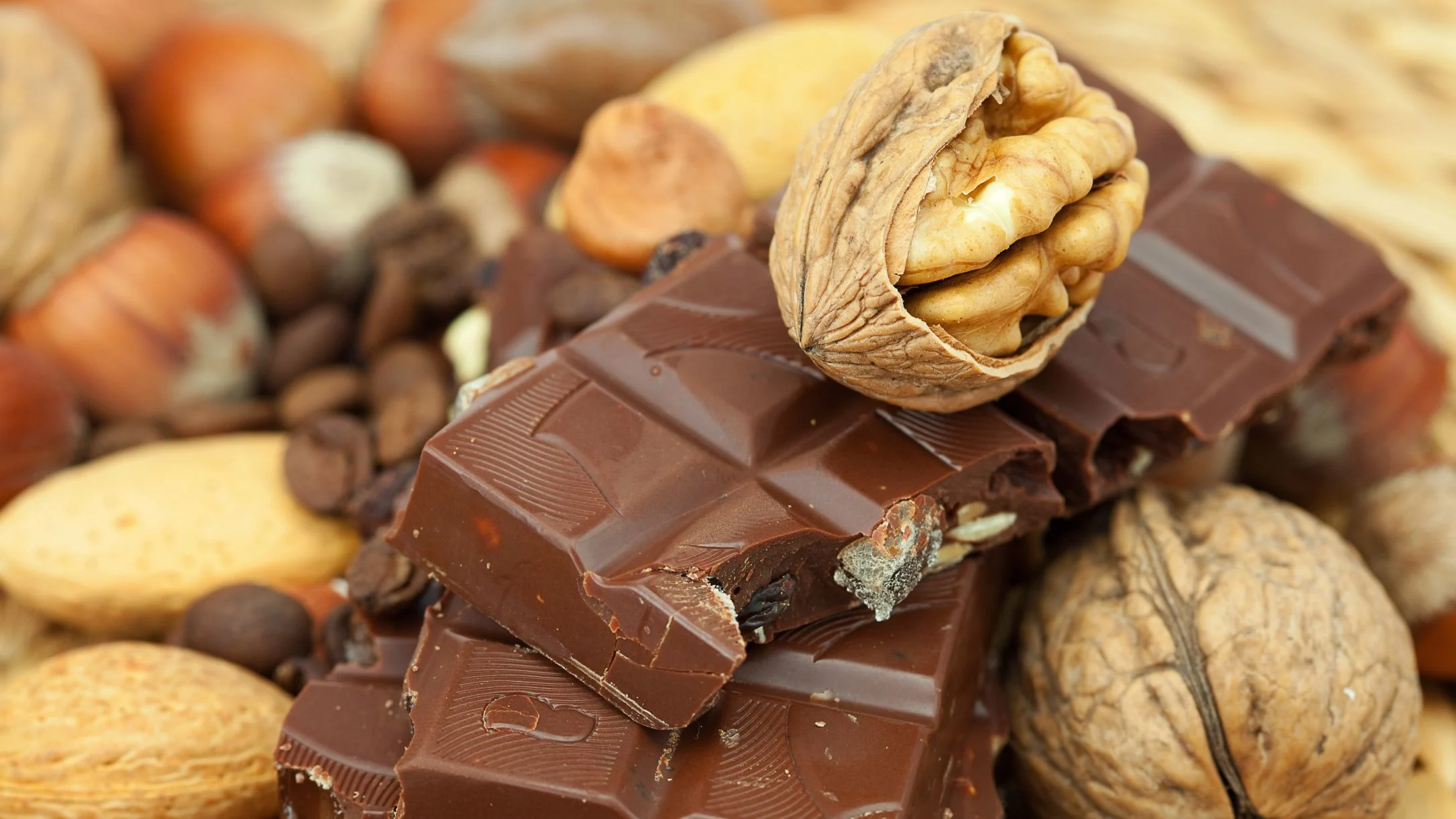 Chunks of dark chocolate topped with a walnut half, surrounded by mixed nuts including almonds, hazelnuts, and walnuts.