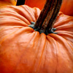 Pumpkin-Nut Bake Recipe | @Atkins