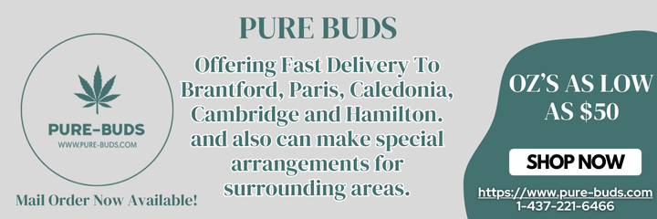 Pure Buds - Sept 28th