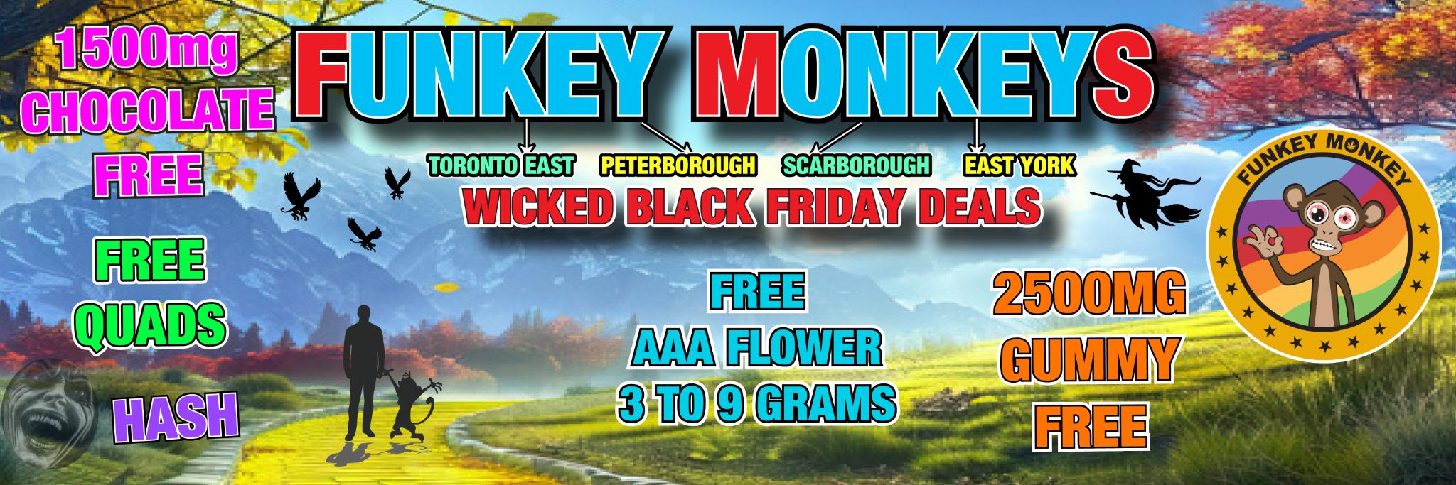 Funkey Monkey Dec 12th