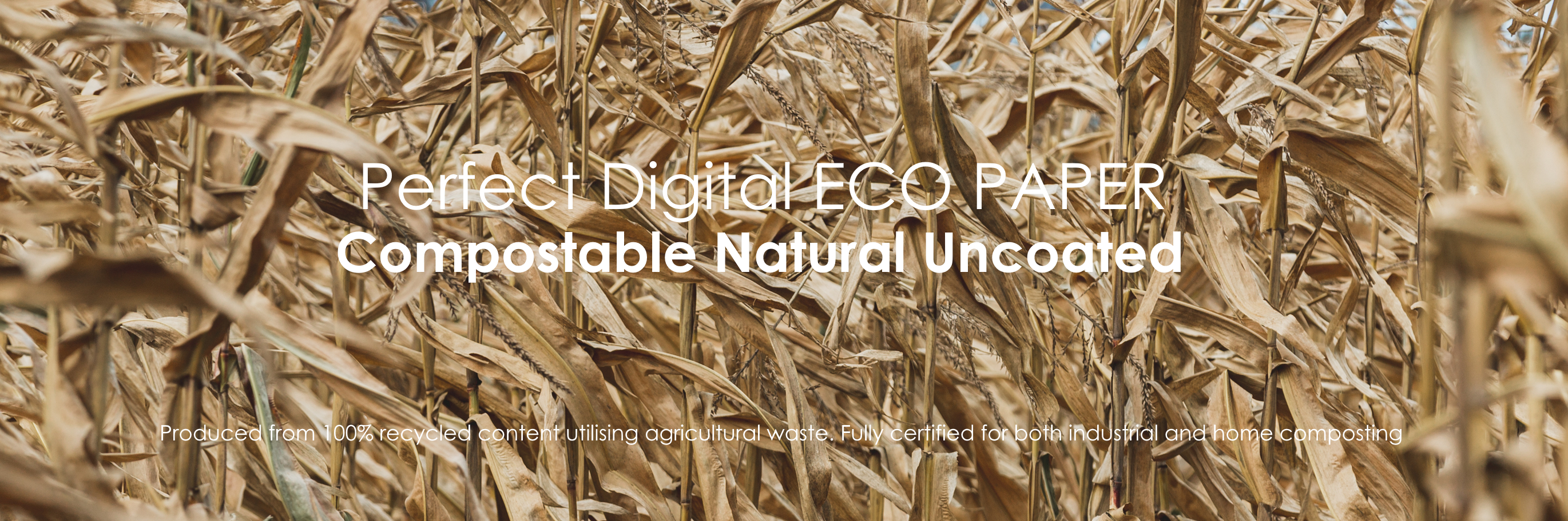 Perfect Digital ECO PAPER Natural Uncoated