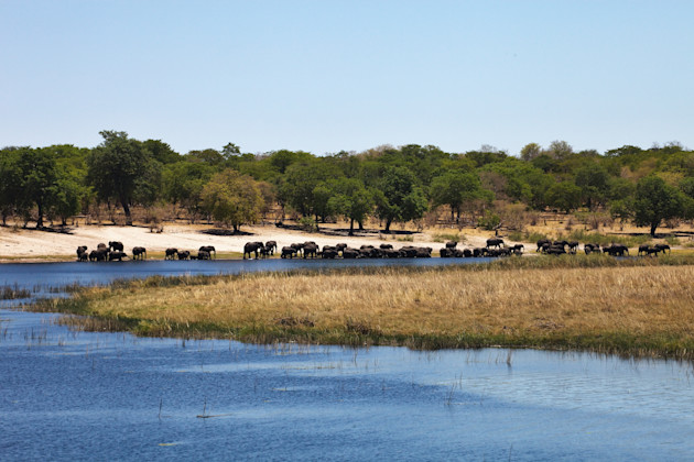 Bwabwata National Park, Kavango-Ost