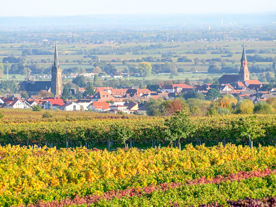 St. Martin, Rheinland-Pfalz 