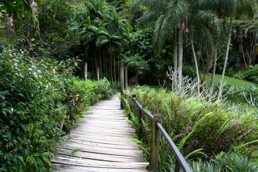 Garden Of The Sleeping Giant In Nadi Holidaycheck