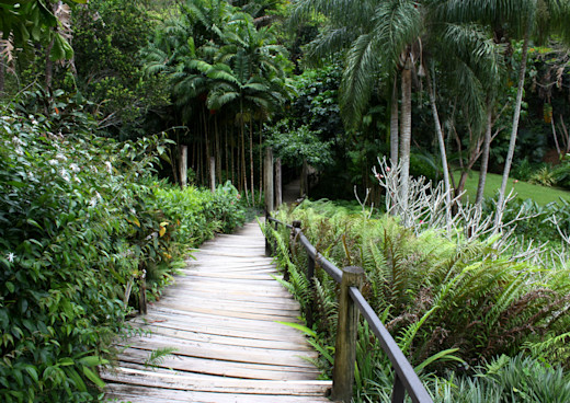 Garden Of The Sleeping Giant In Nadi Holidaycheck