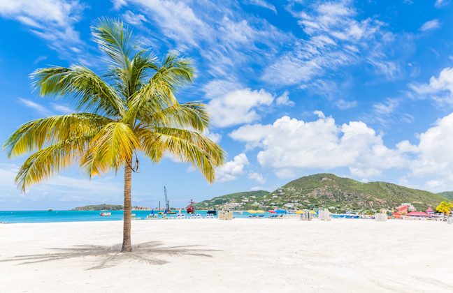Palme am Strand, Philipsburg