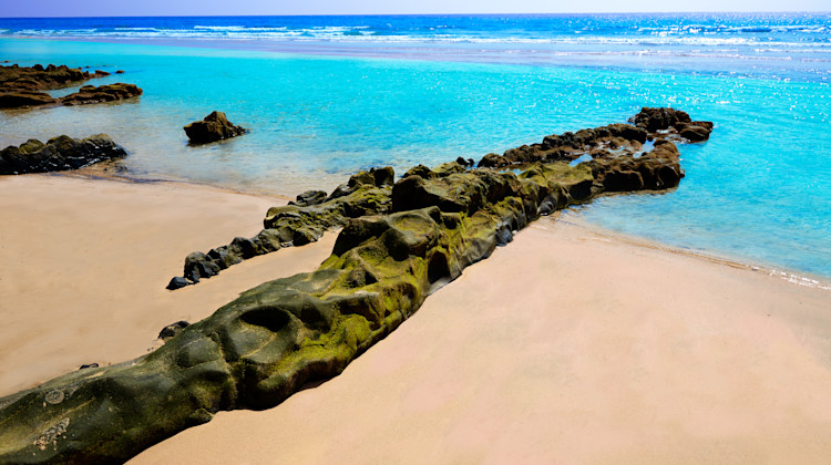 Fruhbucher Morro Jable 2021 Die Gunstigsten Angebote Bei Holidaycheck