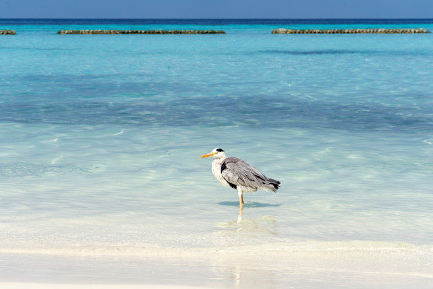 Kurendhoo, Lhaviyani Atoll