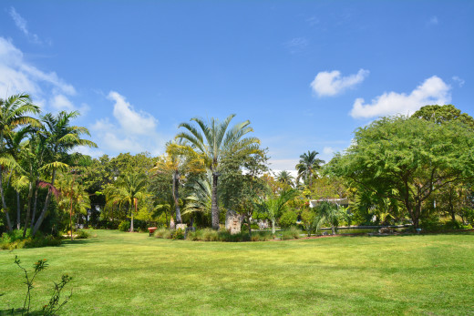 Botanischer Garten In Miami Beach Holidaycheck