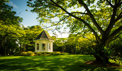 Botanischer Garten Singapur In Singapur Holidaycheck