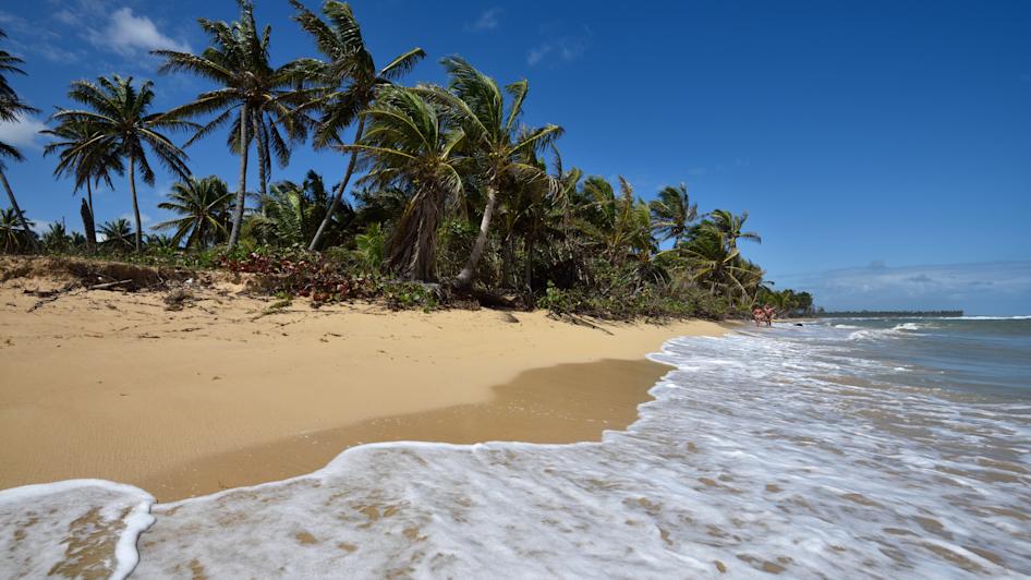 Uvero Alto Infos Tipps Und Angebote Bei Holidaycheck