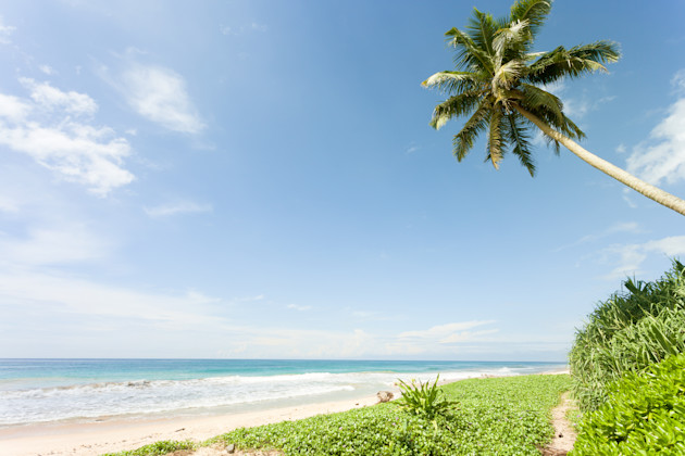 Strand Balapitiya, Sri Lanka Südküste