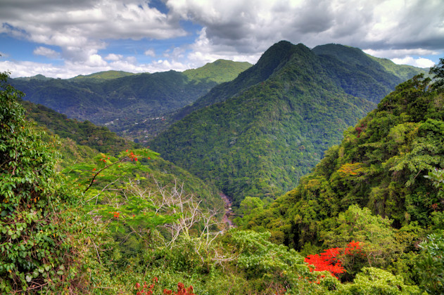 El Yunque