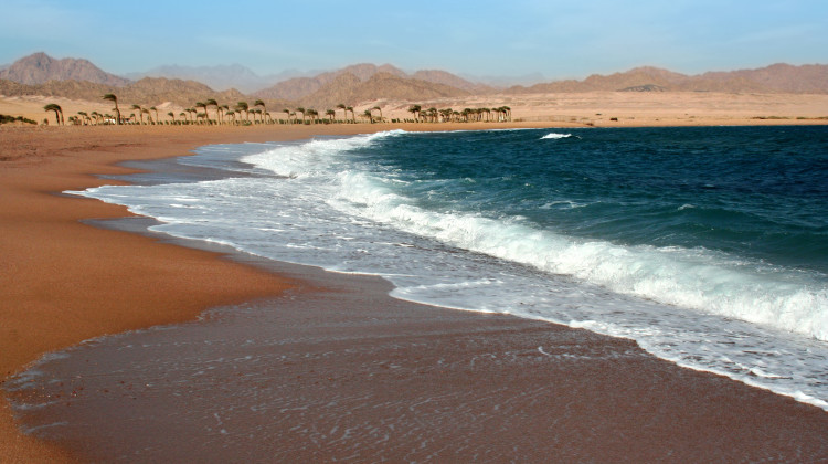 Strand Nabq Bay, Sharm el Sheikh / Sinai