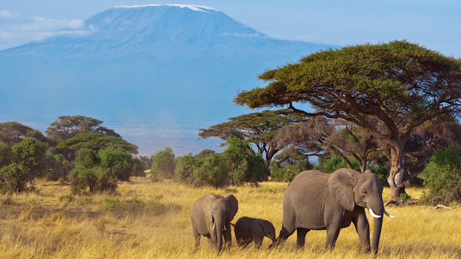 Kenia Urlaub Jetzt Gunstig Buchen Bei Holidaycheck