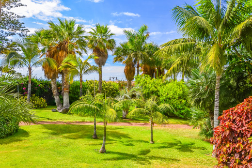 Botanischer Garten Puerto De La Cruz In Puerto De La Cruz