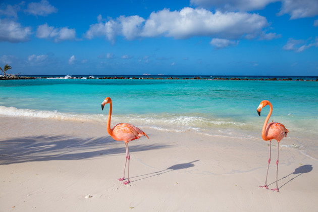 Strand Oranjestad Oost
