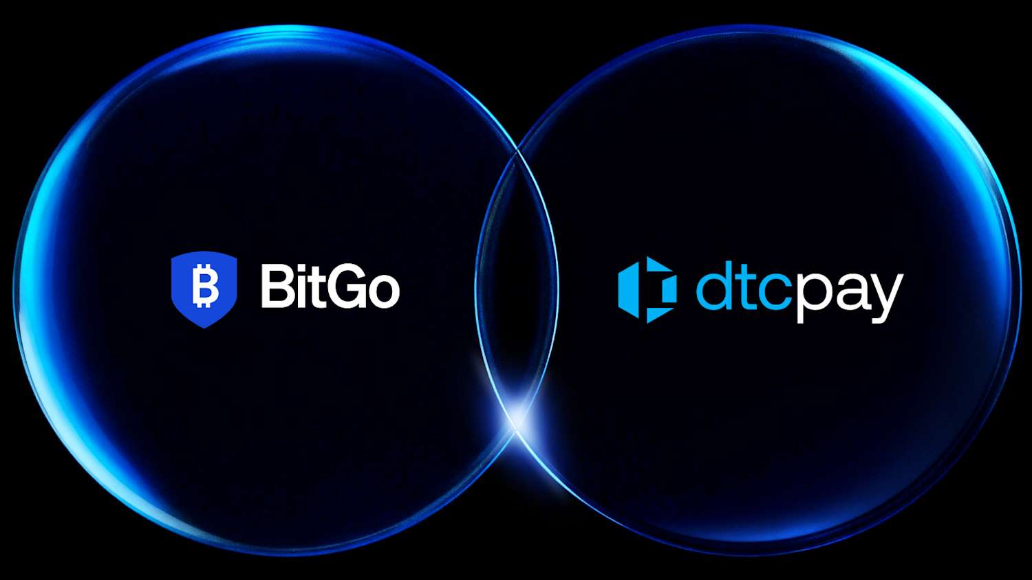 image (13).png