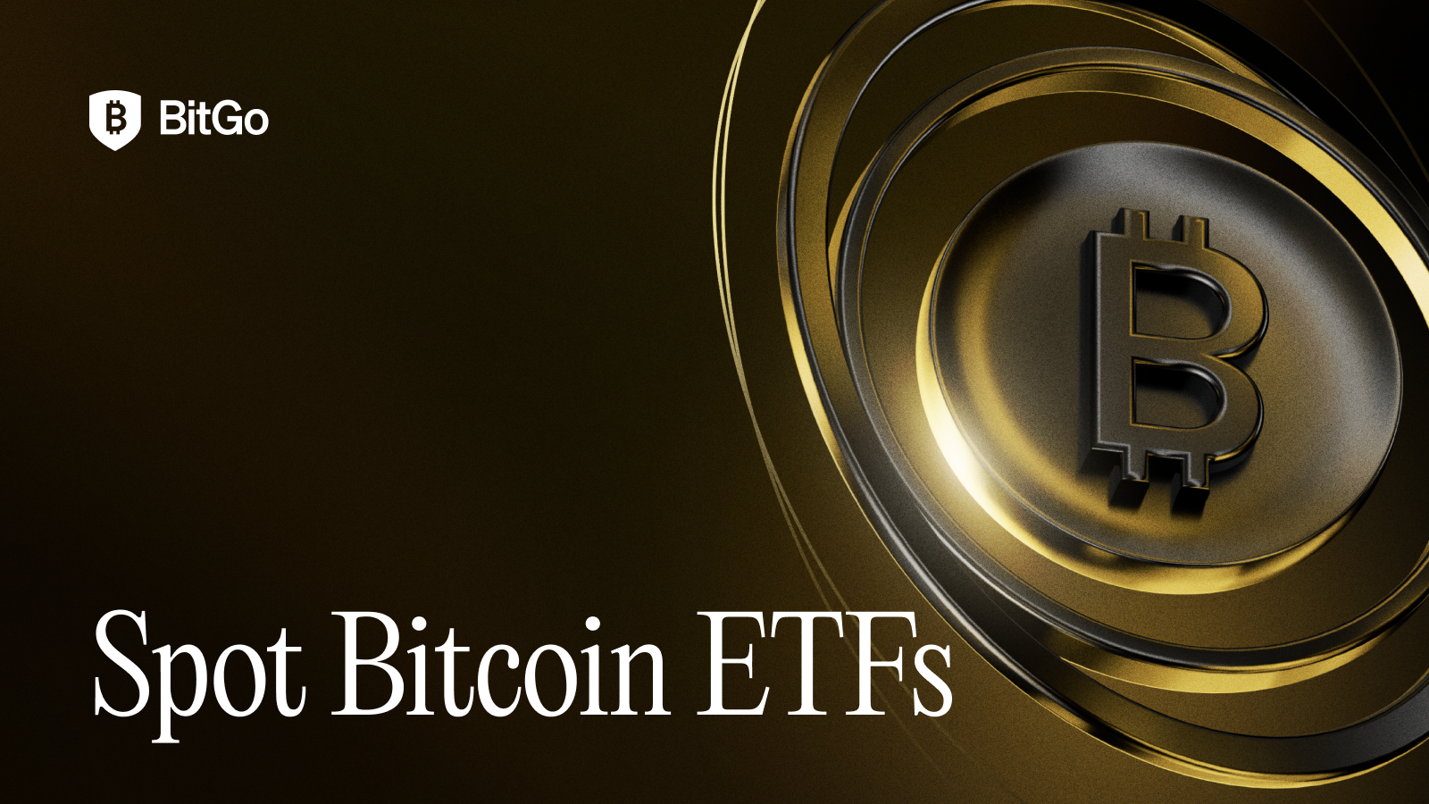 Spot Bitcoin ETFs.png