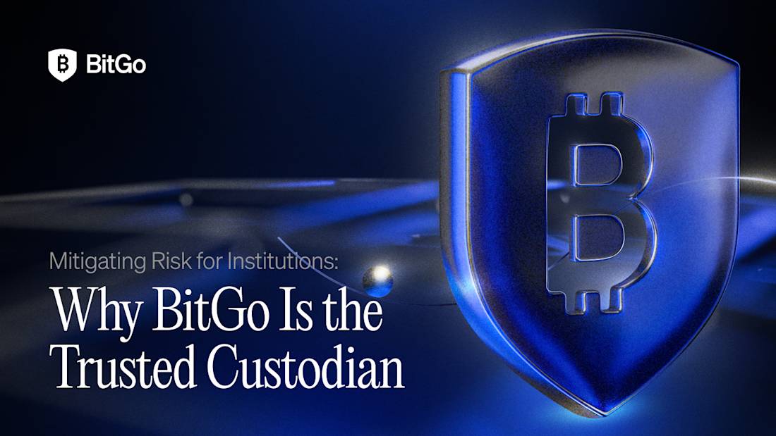 Bitogo Logo Bitgo Logo