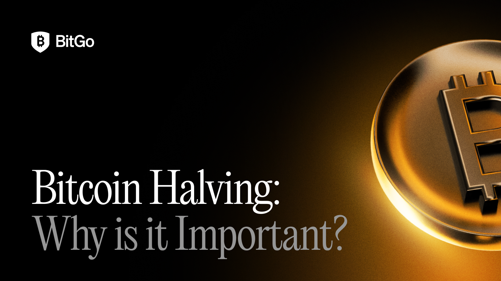 Bitcoin Halving - Why is it Important_.png