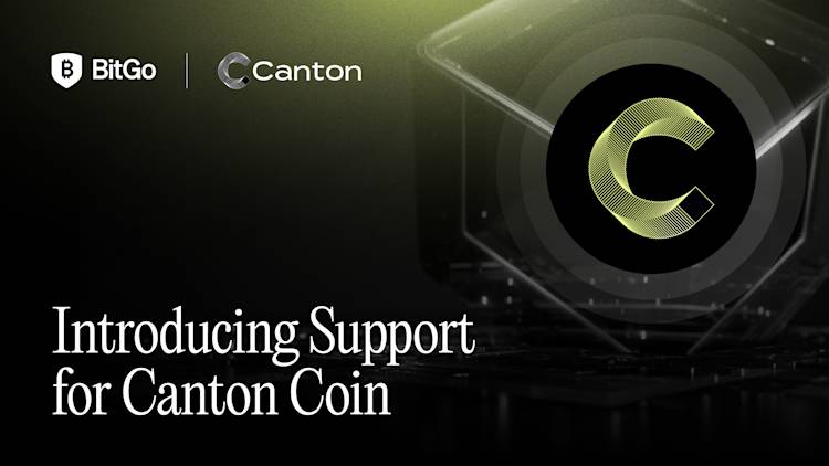 Introducing Support for Canton Network Coin.png