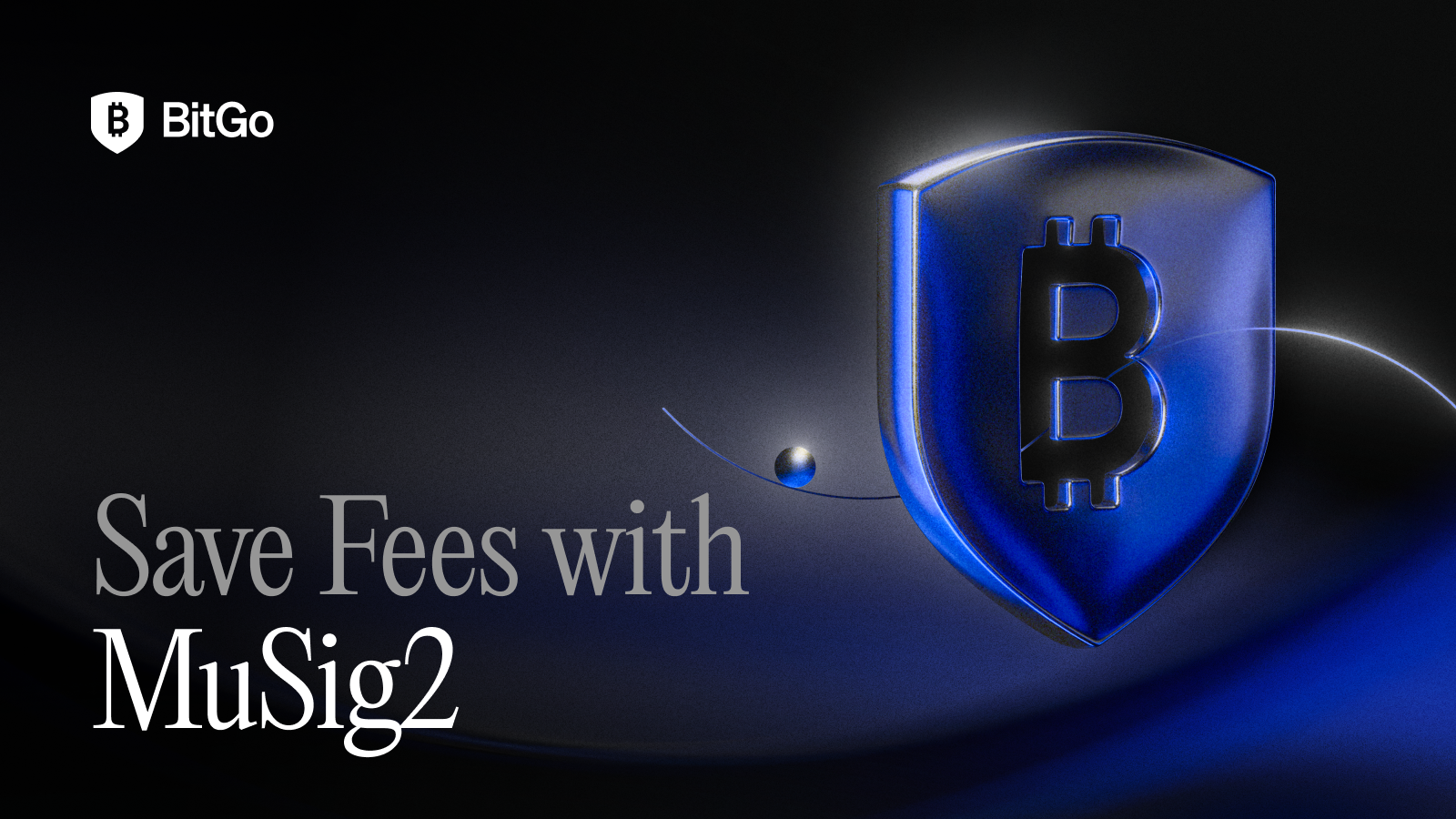 Save Fees with MuSig2 at BitGo.png