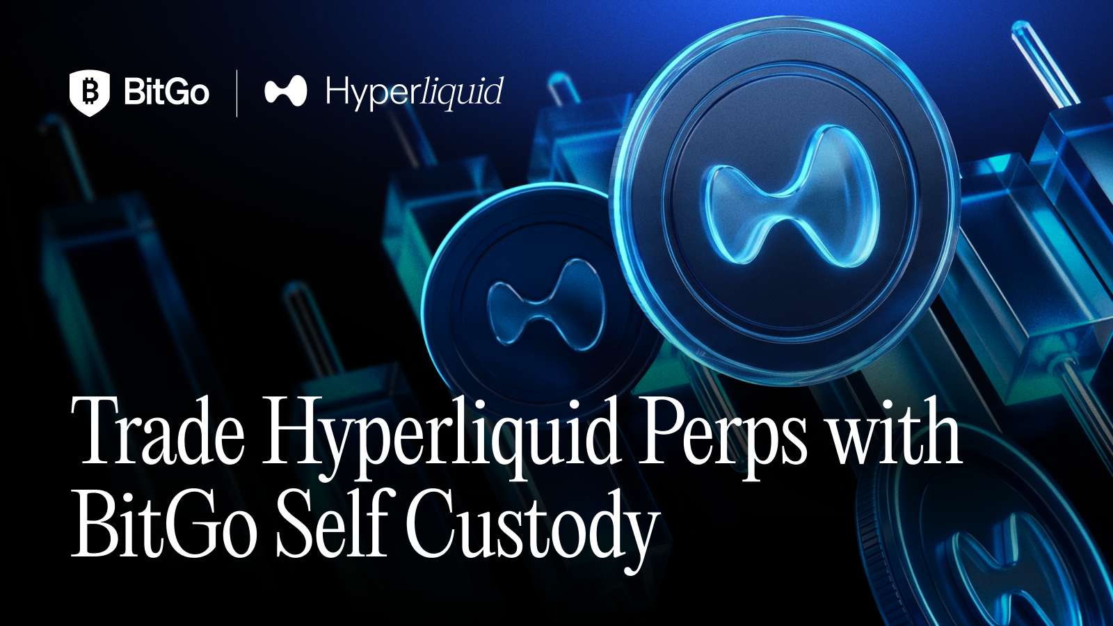 Source: provided-image (/tmp/hyperliquid-walletconnect.png)