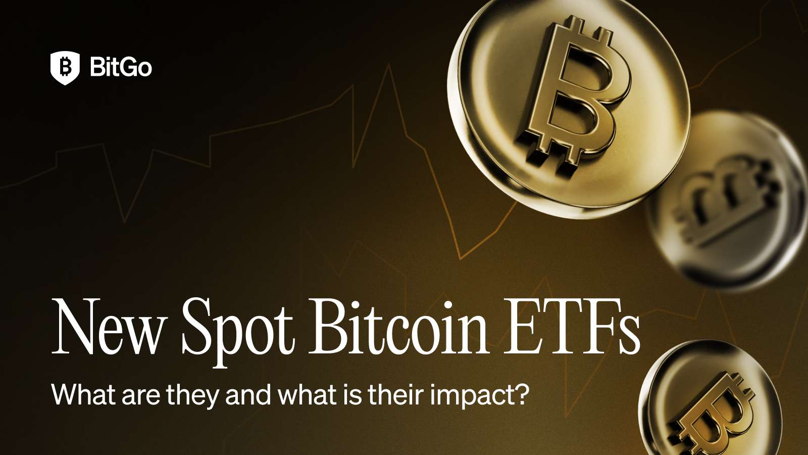 New Spot Bitcoin ETFs.png