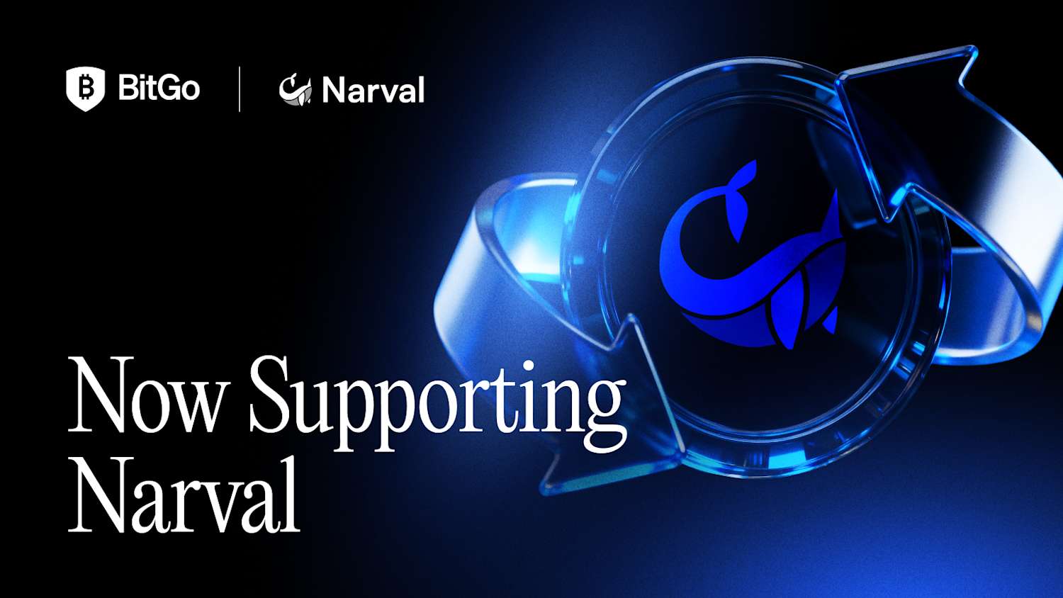 BitGo Now Supports Narval.png