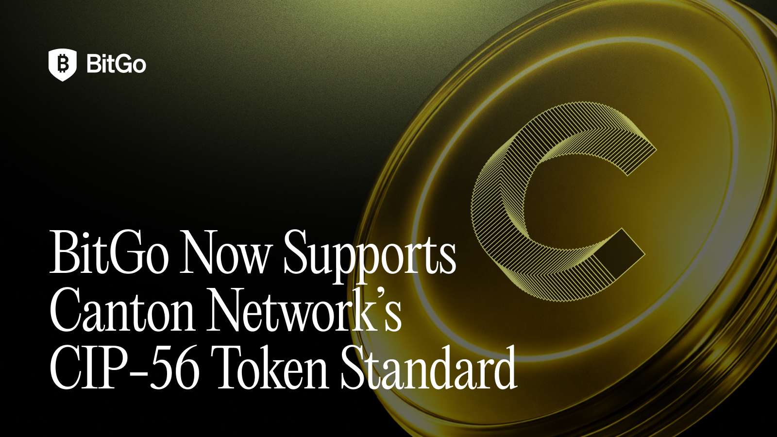 BitGo Canton Token Standard - Blog (1).png