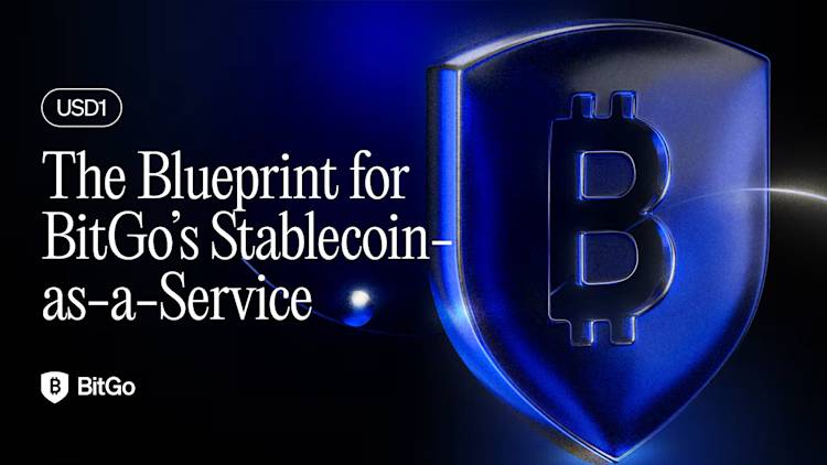 Stablecoin-as-a-Service-1.avif